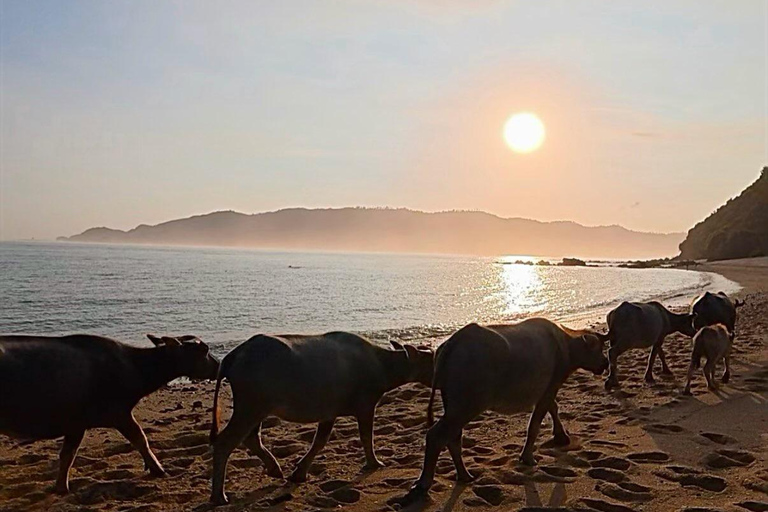 Lombok: Weaving, South Beach, Sunset with Buffalo Tour Lombok: Weaving, South Beach, Sunset with Buffalo Tour
