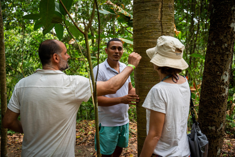 Santa Marta: Taironaka Indigenous Tour