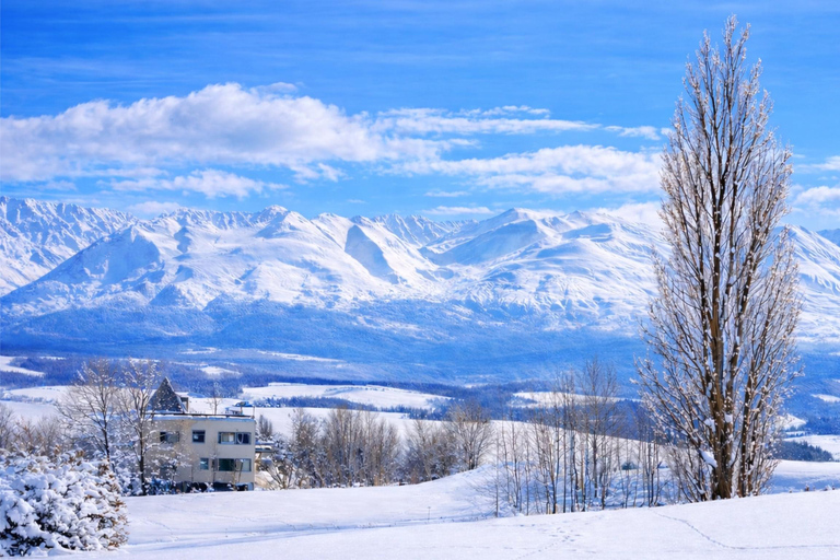 Sapporo 2-Month Special:Asahiyama Zoo & Snowy Landmarks Tour 8:10 am meet at JR Sapporo Station North exit