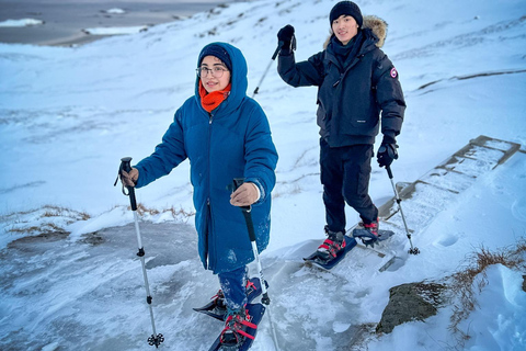 Reine: Winter Snowshoe Hike to Ryten – With Local Guide