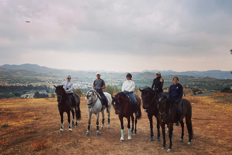 Málaga: Guided tour on horseback in the Guadalhorce Valley Malaga: Guided tour on horseback through the Guadalhorce Valley in french language