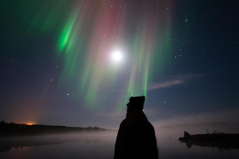 Rovaniemi: Coffee under Northern Lights & Professional Photo
