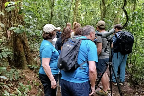 Monteverde: Guided Walk To Monteverde Cloud Forest Reserve