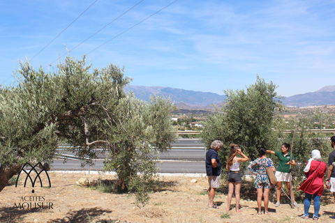 Visite guidée et dégustation d&#039;huile à l&#039;usine Aceites MolisurFRENCH TOUR - Visite guidée et dégustation d&#039;huile aux Aceites Molisur