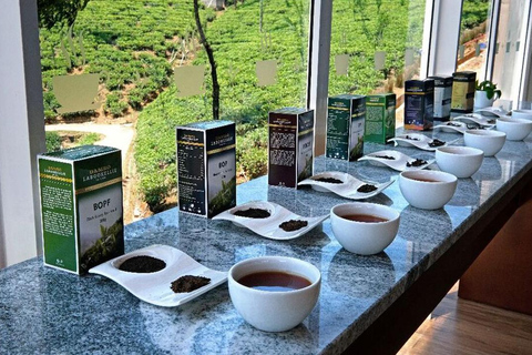 Nuwara Eliya to Kandy: Transfer with Waterfall & Tea Tour