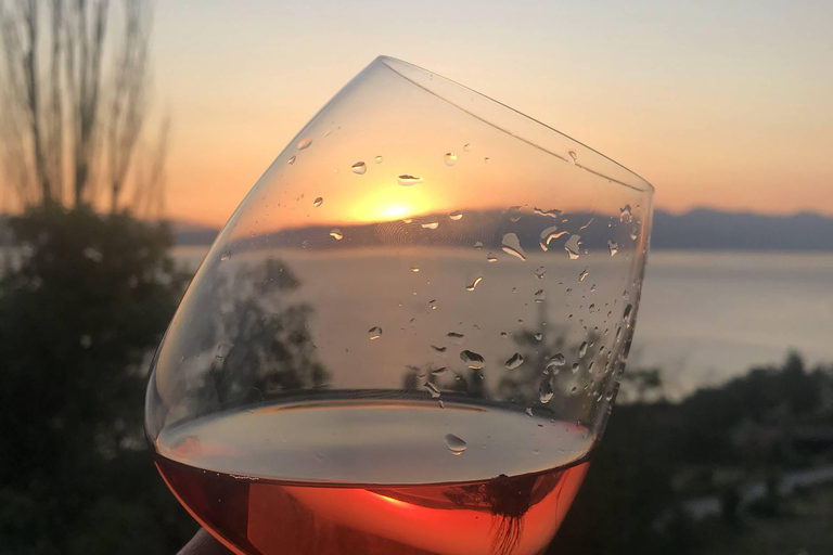 奥赫里德：维克的品酒会奥赫里德：维克独特的品酒体验