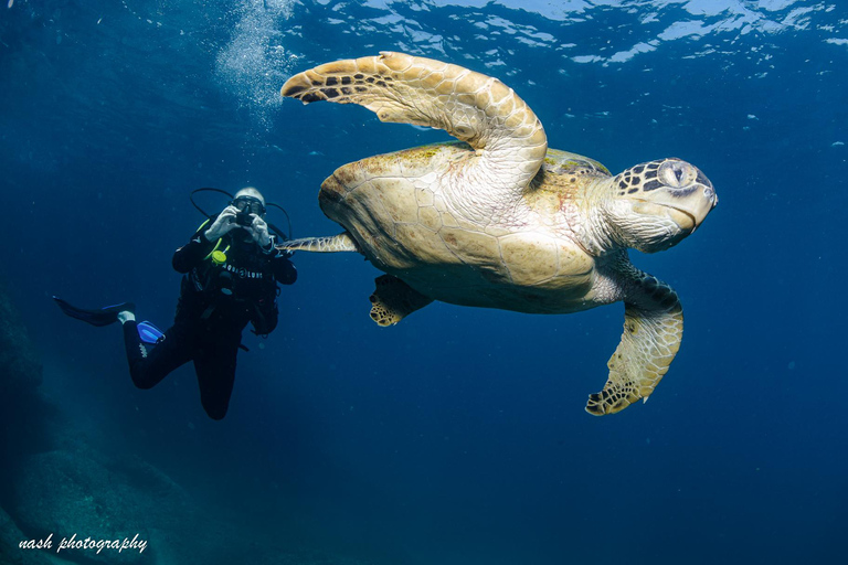 Muscat: Daymaniyat Island Scuba Dive 2 locations + BBQ Lunch