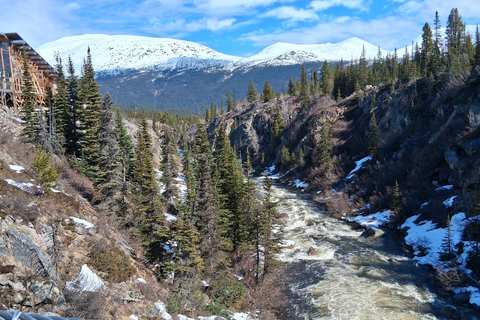 Skagway: Yukon Suspension Bridge & White Pass Scenic Tour