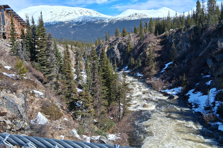 Skagway: Yukon Suspension Bridge & White Pass Scenic Tour
