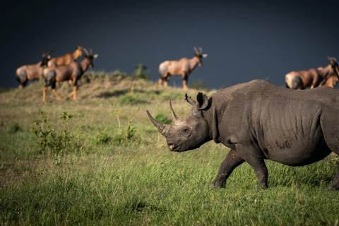 Safari de 2 días en un Albergue de Bienestar con vuelos de ida y vuelta desde Zanzíbar