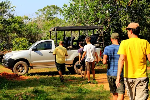 Tangalle/Hiriketiya: Udawalawa Safari & Elephant Transit Hom