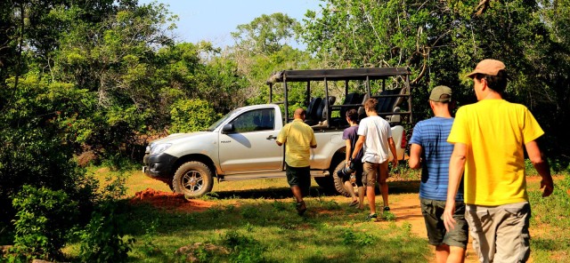 Tangalle/Hiriketiya: Udawalawa Safari & Olifantentransit Hom