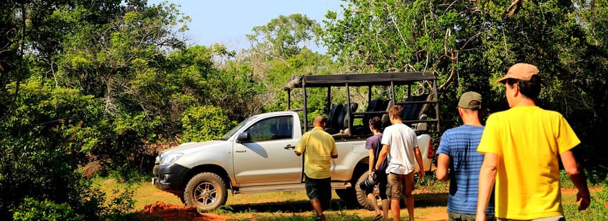 Tangalle/Hiriketiya : Safari à Udawalawa et transit d'éléphants Hom