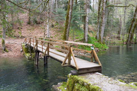Kotor: Dagsutflykt och båtresa till Skadarsjön och BiogradFrom Herceg Novi