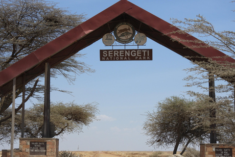 4 Days in the African Wilderness, A Safari to Remember