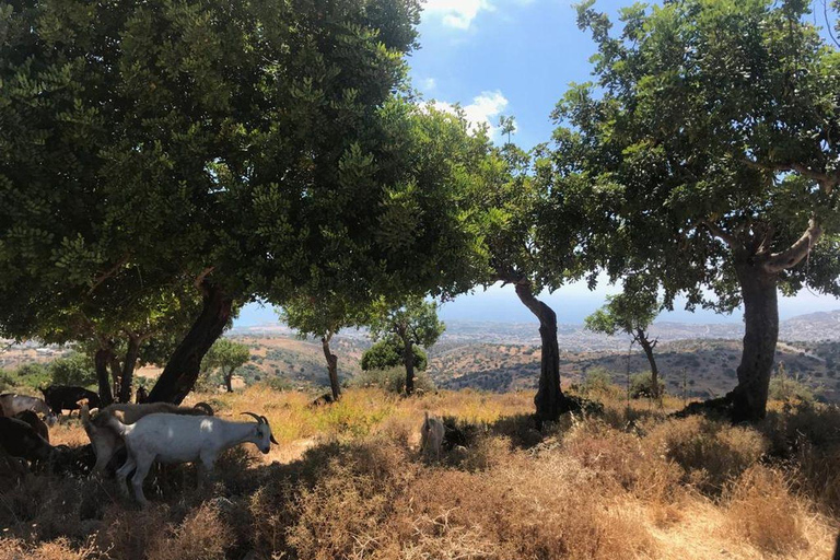 Paphos :Akamas Jeep Safari with cruise to the Blue Lagoon