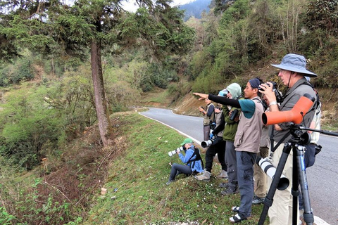 Bhutan Nature Photography Road Trip | 3D/2N