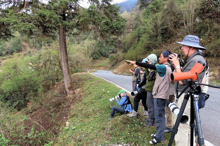 Bhutan Nature Photography Road Trip | 3D/2N