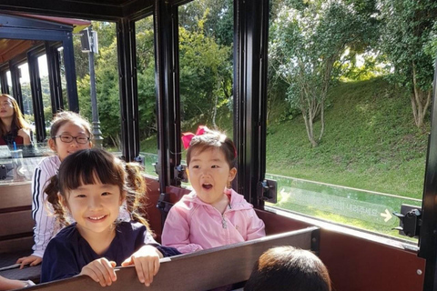 Corée, mont Hallasan, parc Echoland, train forestier et billet d&#039;entréeCorée, parc Echoland du mont Hallasan, train forestier et billet d&#039;entrée