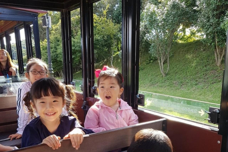 Corée, mont Hallasan, parc Echoland, train forestier et billet d&#039;entréeCorée, parc Echoland du mont Hallasan, train forestier et billet d&#039;entrée