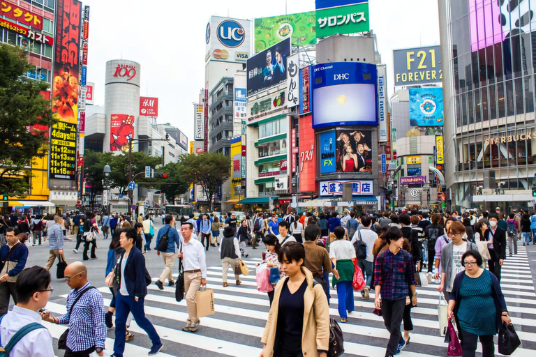 Tokyo, Mt. Fuji, Kyoto, Osaka: 7-Day Private Tour of Japan