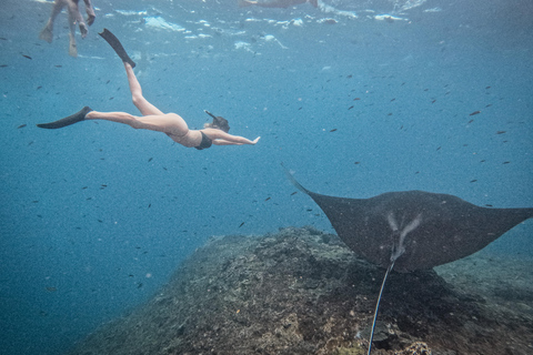 从巴厘岛出发：努沙佩尼达魔鬼鱼浮潜私人乘船观光共享游船之旅（含午餐，巴厘岛酒店接送服务）
