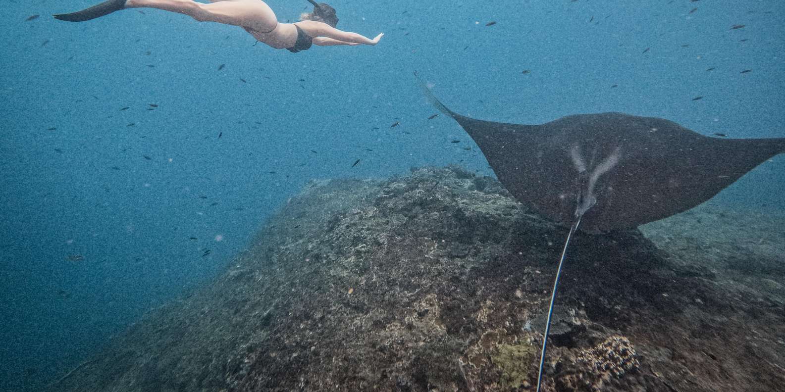 Bali: Premium Yacht Nusa Penida Manta Snorkeling & Land Tour — gallery image 1