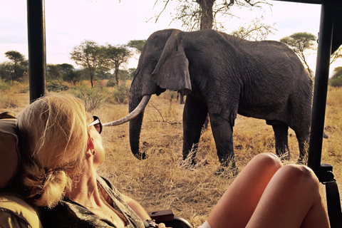 El mejor viaje de safari de 11 días por Kenia y Tanzania con el Serengeti