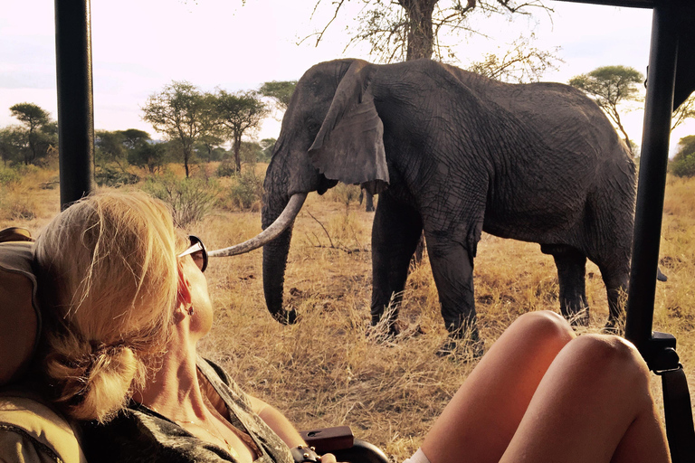 11 giorni di viaggio in Kenya e Tanzania con safari nel Serengeti