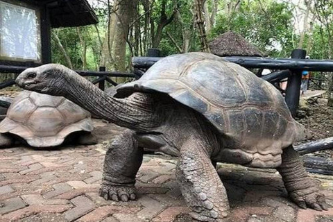 Spice Farm, Prison Island, Stonetown Tour+Slave market visit With hotel pickup and fees included