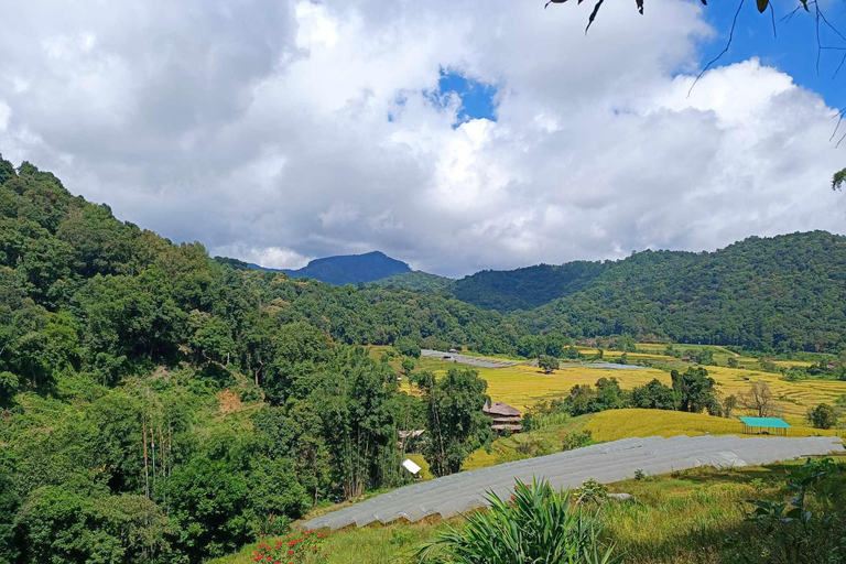 Chiang Mai : Parc national de Doi Inthanon et sanctuaire des éléphants