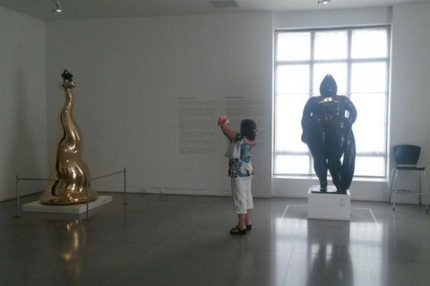 Medellin : Visite privée des musées avec prise en charge à l'hôtel