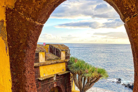 Funchal: Tuk-Tuk Tour with Madeira Wine and Honey Cake