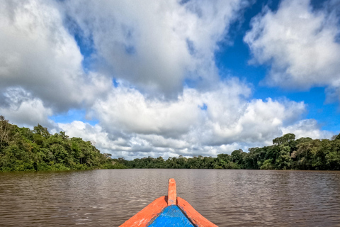 Experiencia completa en la selva