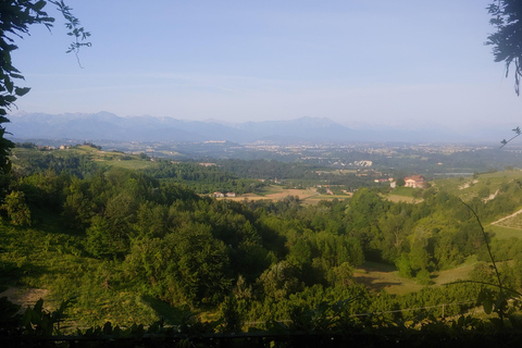 Langhe: Visit to the Vineyard and Historic Cellars with Tasting Langhe: Visit to the Vineyard and Historic Cellars with Wine Tasting