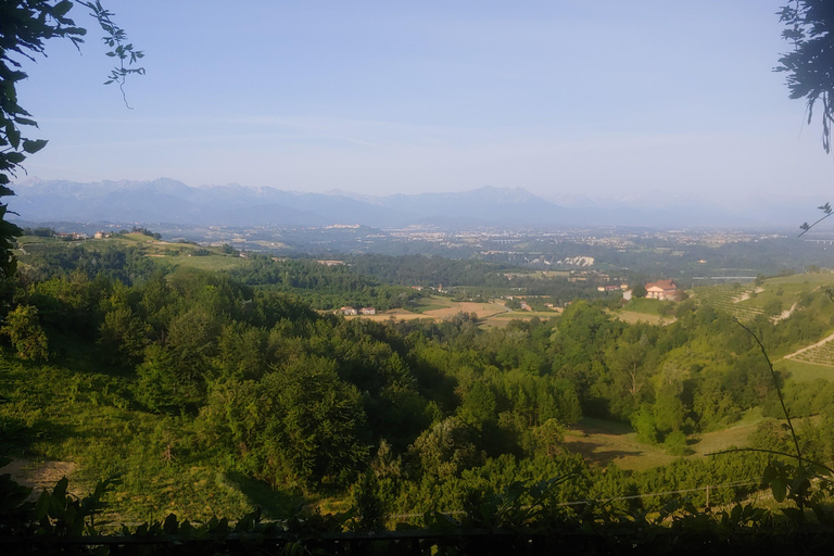 Langhe: Visit to the Vineyard and Historic Cellars with Tasting Langhe: Visit to the Vineyard and Historic Cellars with Wine Tasting