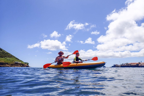 Faial: Stand-Up Paddle Board Rental Faial: Stand-Up Paddle Board and Snorkeling Rental