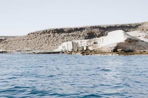 Lady Sunshine, Bavaria Cruiser 55, a lifetime Experience Tenerife: Lady Sunshine, Private Tour - 4 hours