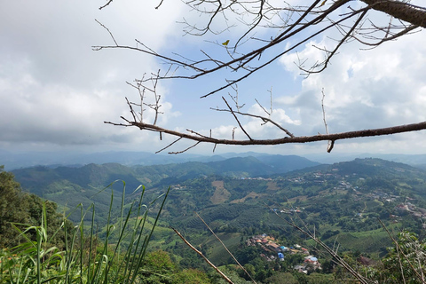 Chiang Rai: Mountains Discovery Doi Mae Salong & Doi Tung Mountains Discovery:Doi Mae Salong & Doi Tung (Private Tour)