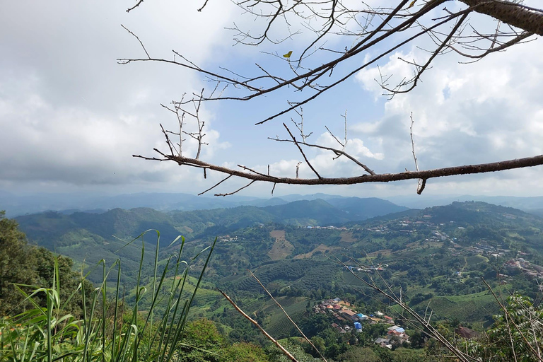 Chiang Rai: Mountains Discovery Doi Mae Salong & Doi Tung Mountains Discovery:Doi Mae Salong & Doi Tung (Private Tour)