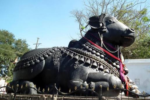 Bangalore, Mysore & Ooty Multi‑Day Tour Bangalore, Mysore & Ooty Guided Tour with 4*Star Hotel