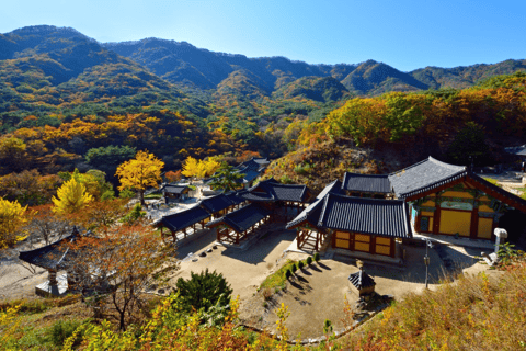 De Seul: excursão privada de um dia a Gangwondo - inglês ou espanholDe Seul: passeio privado de um dia a Gangwondo - inglês ou espanhol