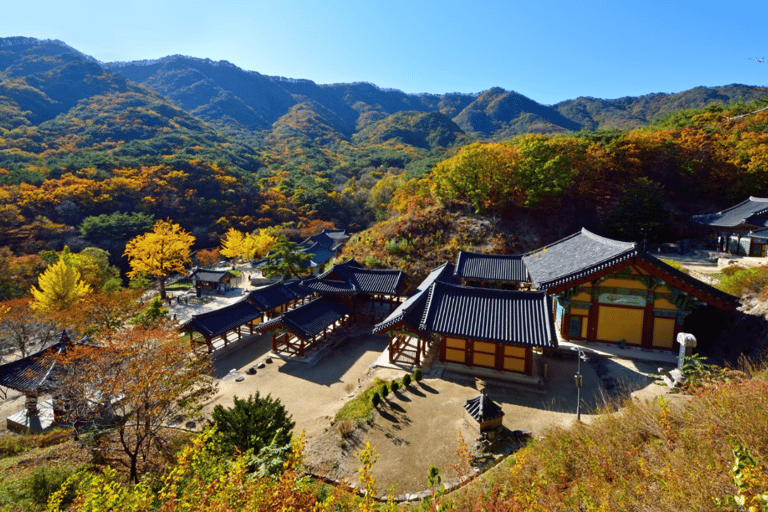 De Seul: excursão privada de um dia a Gangwondo - inglês ou espanholDe Seul: passeio privado de um dia a Gangwondo - inglês ou espanhol