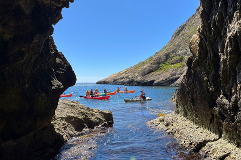 Gozo Kayak Tours
