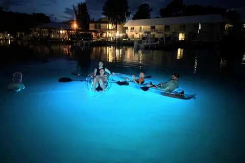 Crystal River Clear Kayak Sunset & Night Glow Tour