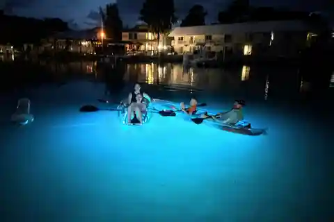 Crystal River Clear Kayak Sunset & Night Glow Tour