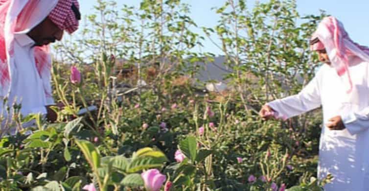 From Jeddah: Full-Day Tour To Taif photo 8