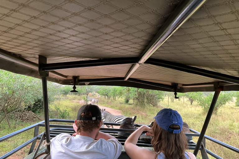 From Entebbe: 6-Day Ugandan Safari & Gorilla Trekking Tour