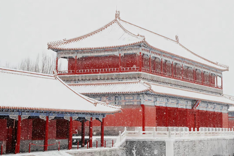 Beijing: Forbidden City & Treasure Museum Tour