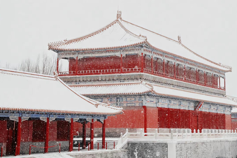 Beijing: Forbidden City & Treasure Museum Tour